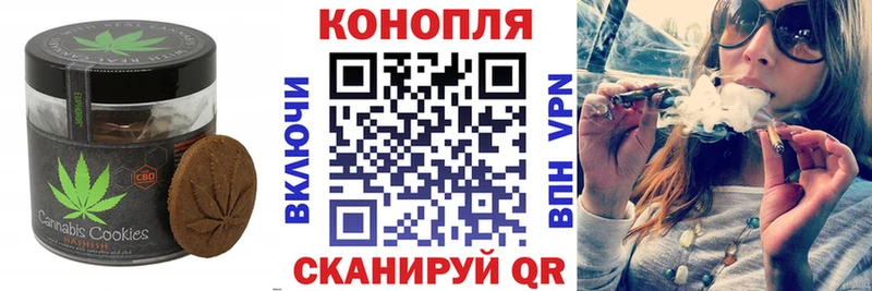 Canna-Cookies конопля  Шумиха 